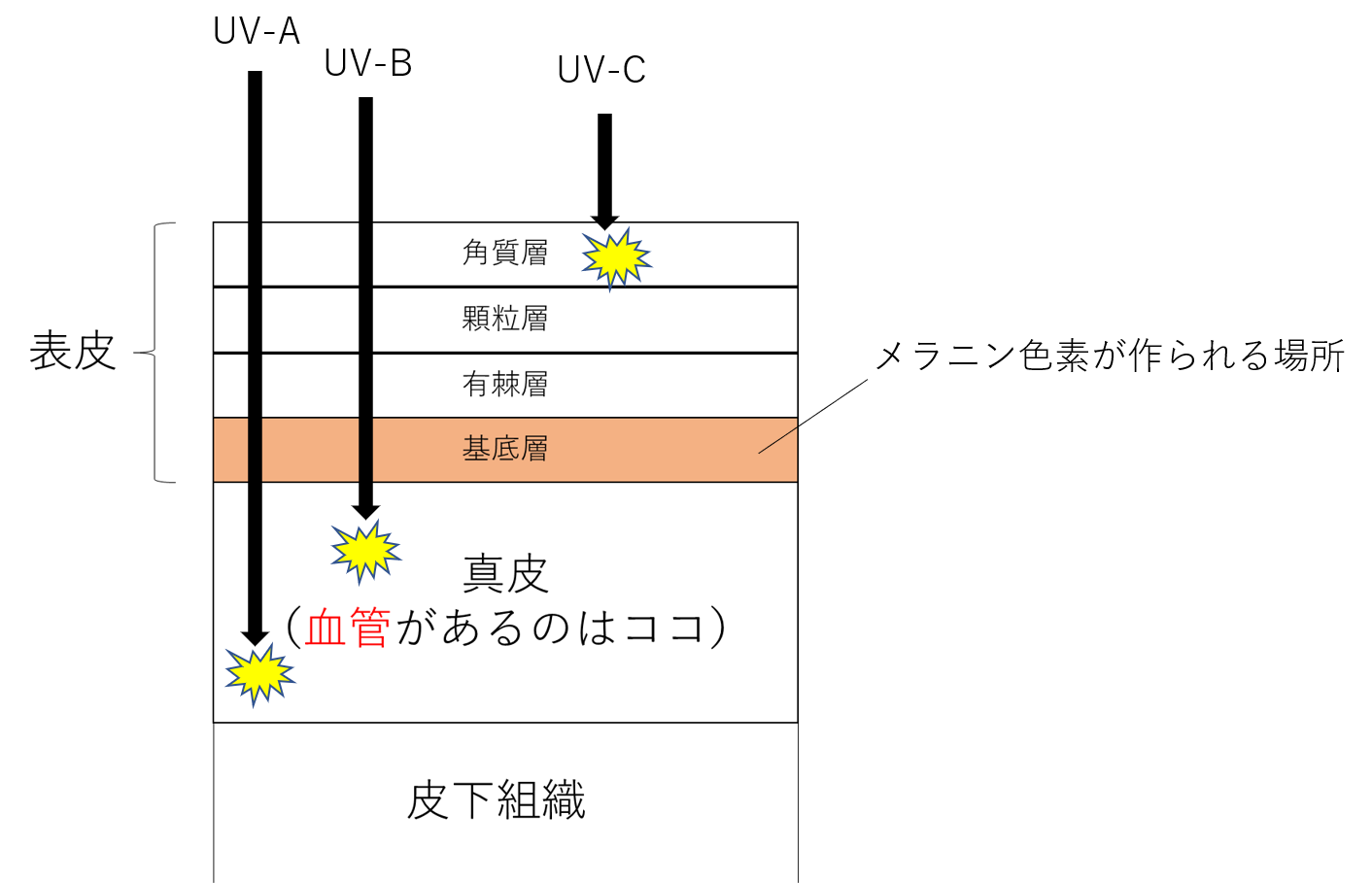 紫外線の殺菌効果解説シリーズ ３ 紫外線の人体への影響は 株式会社エコ プラン